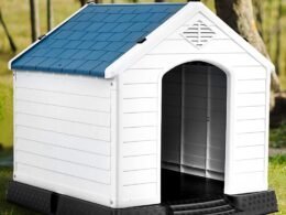 Plastic Dog Houses: Lightweight and Easy to Clean