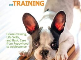 Ultimate Guide to Dog House Training
