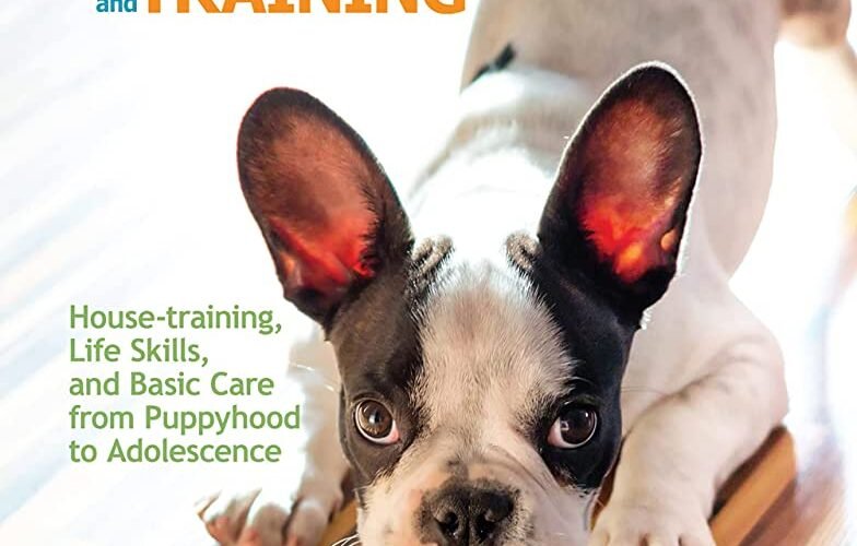 Ultimate Guide to Dog House Training