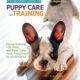 Ultimate Guide to Dog House Training 8 Ultimate Guide to Dog House Training