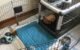 Elevated Dog Houses: Keeping Your Pup Cool And Comfortable 5 Elevated Dog Houses