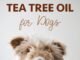 Dilute Tea Tree Oil for Dogs