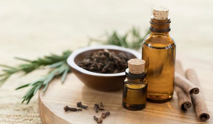 Smells Deter Cats from Peeing