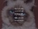 Male Cats Called