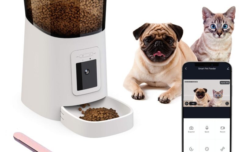 Can dogs eat dry cat food