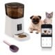 Dry Cat Food And Dogs: A Compatibility Guide 8 Can dogs eat dry cat food
