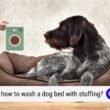 Wash a Dog Bed With Stuffing