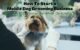 Starting a Dog Grooming Business: The Complete Guide 5 Starting a Dog Grooming Business: The Complete Guide