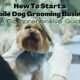 Starting a Dog Grooming Business: The Complete Guide 8 Starting a Dog Grooming Business: The Complete Guide