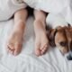 Why Do Dogs Sleep With Their Bum Facing You 7 Dogs Sleep With Their Bum Facing You