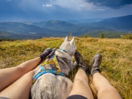 Dogs Put Their Butt on You