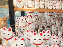 My Cat Tap Me When I Walk Past