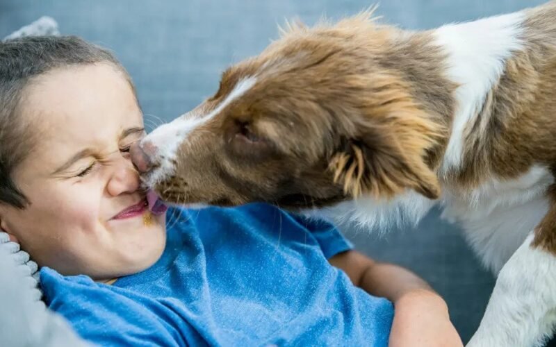 Why Does My Dog Lick Me So Much