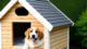 Wooden Dog Houses: A Classic And Durable Option for Your Pup 7 dog house