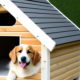 Wooden Dog Houses: A Classic And Durable Option for Your Pup 7 dog house
