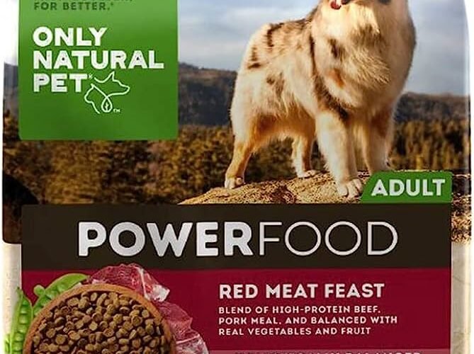Can dogs eat cat food for protein