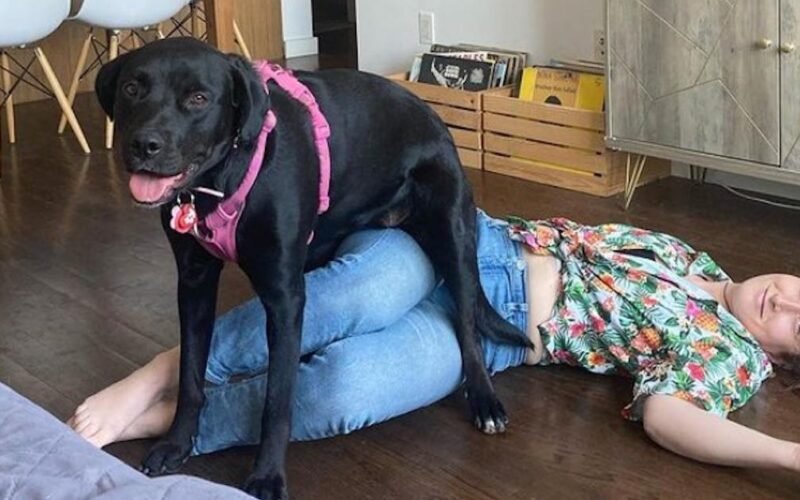 My Dog Sit on My Chest