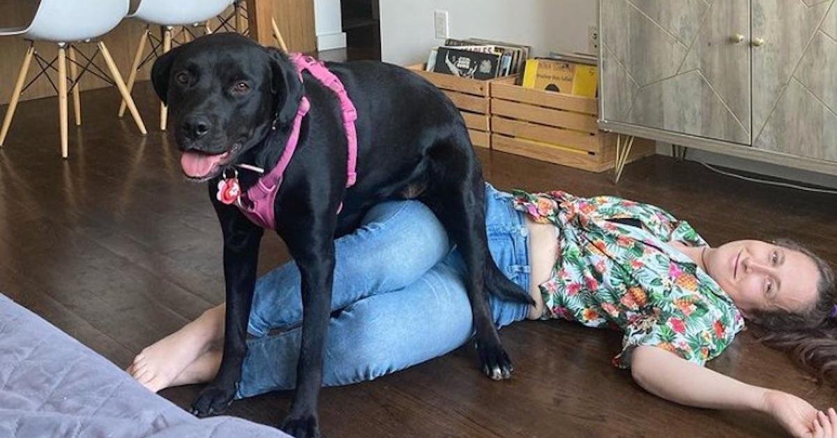 My Dog Sit on My Chest