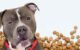 Grain-Free Cat Food: Is It Suitable for Dogs? 5 Grain-Free Cat Food: Is It Suitable for Dogs?