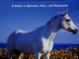 What Do Horses Eat in Rust