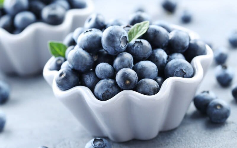 Horses Eat Blueberries