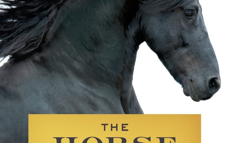 Donkeys Smarter Than Horses