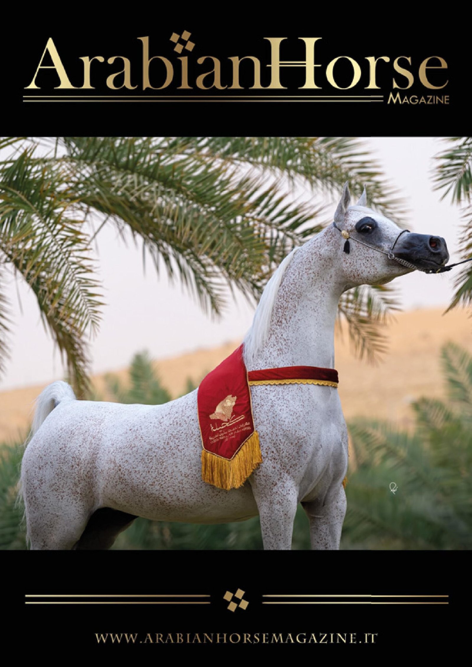 Camels Smarter Than Horses