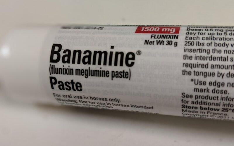 Banamine Do You Need to Treat a Horse's Colic