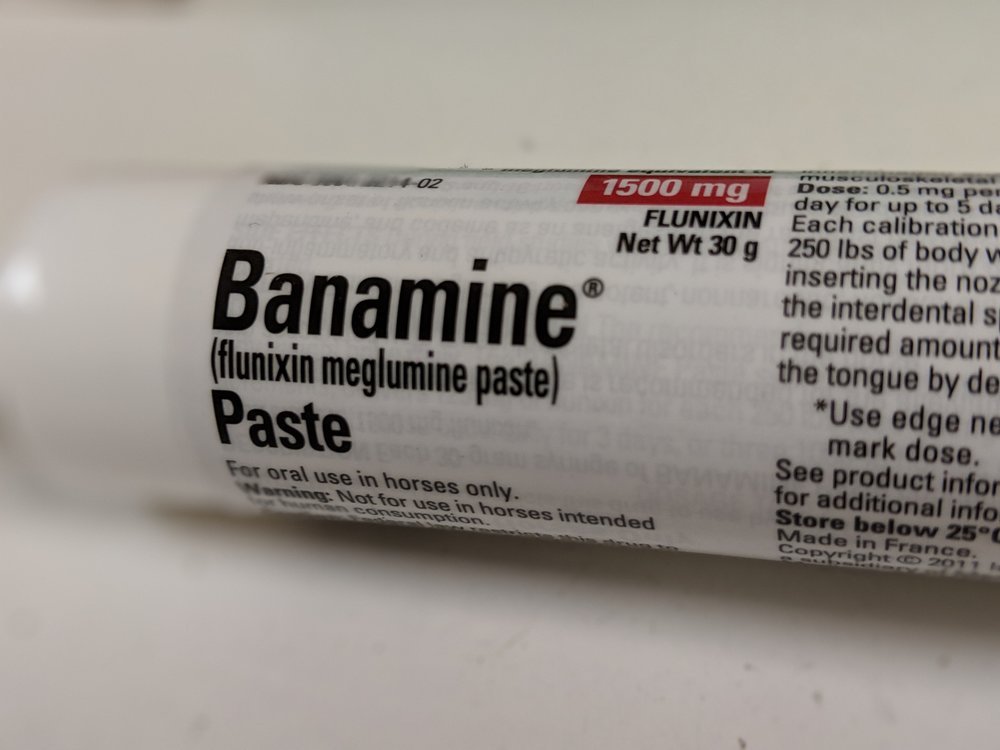 Banamine Do You Need to Treat a Horse's Colic