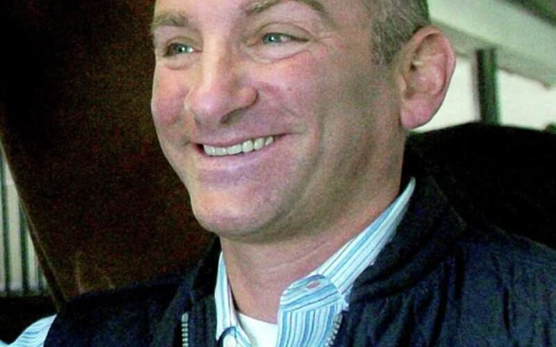 Horses Have Eyebrows