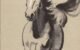 How to Master the Art of Studying Horses' Skeletal and Muscular Makeup 5 Master the Art of Studying Horses' Skeletal and Muscular Makeup