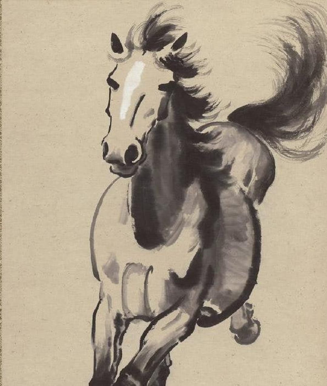 Master the Art of Studying Horses' Skeletal and Muscular Makeup