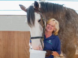 Horses Safely Consume Grass Clippings