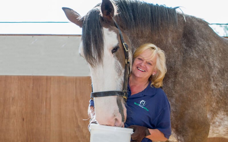 Horses Safely Consume Grass Clippings