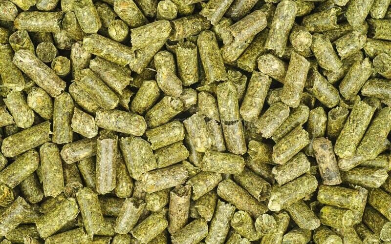 Chickens Safely Consume Horse Alfalfa Pellets