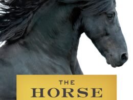 Carrots Can a Horse Eat a Day