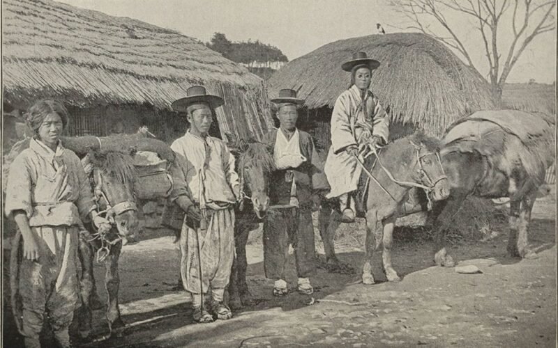 Chickens Safely Devour Oats Intended for Horses