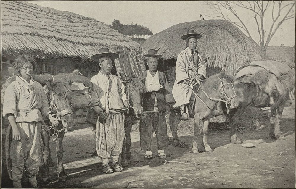 Chickens Safely Devour Oats Intended for Horses