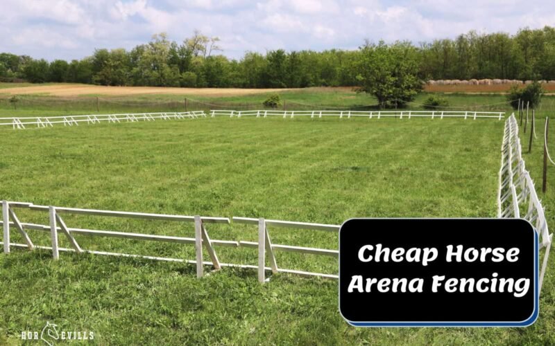 Build a Horse Fence Cheap