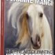 How to Become a Horse Trainer: Master the Art of Equine Education 8 Horse Trainer