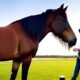 Do Horses Get Fleas? Exploring the Presence of Fleas in Equine Species 7 Horses Get Fleas