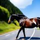Why Did The Horse Cross The Road? Discover The Surprising Answer! 8 Horse Cross the Road
