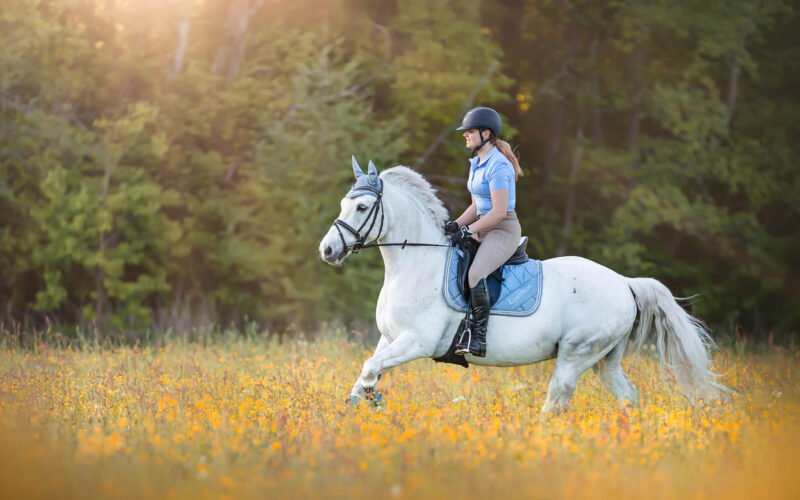 It Too Hot to Ride a Horse