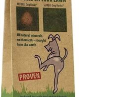 Horses Like to Be Petted