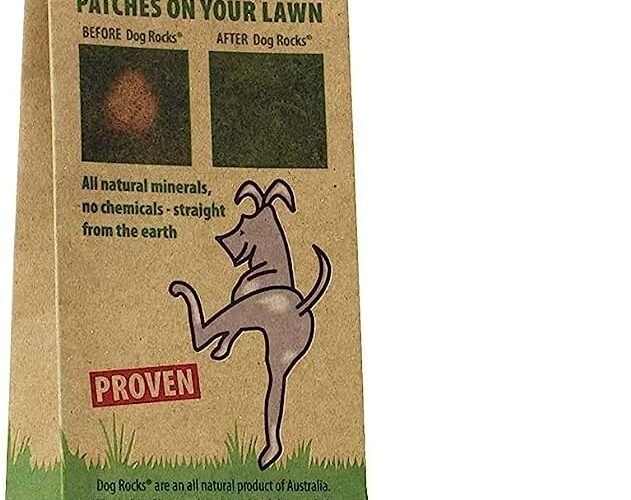 Horses Like to Be Petted