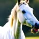 Why Did the Horse Eat With Its Mouth Open: Unveiling this Surprising Behavior 8 Horse Eat With Its Mouth Open