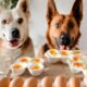 Can Dogs Eat Boiled Eggs? Discover the Nutritional Benefits 7 Dogs Eat Boiled Eggs