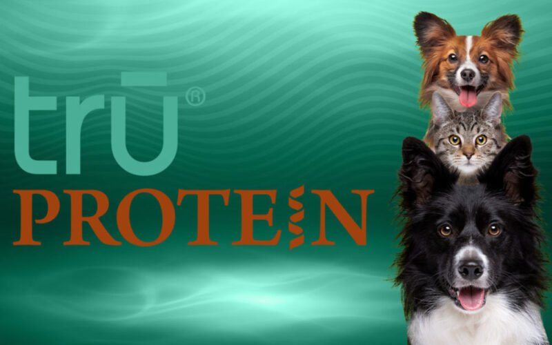 Can Dogs Eat Raw Eggs With Shell