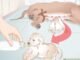 Can Newborn Puppies Drink Goat Milk 65 Can Newborn Puppies Drink Goat Milk