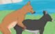 Do Dogs Cramp on Their Periods 5 Do Dogs Cramp on Their Periods